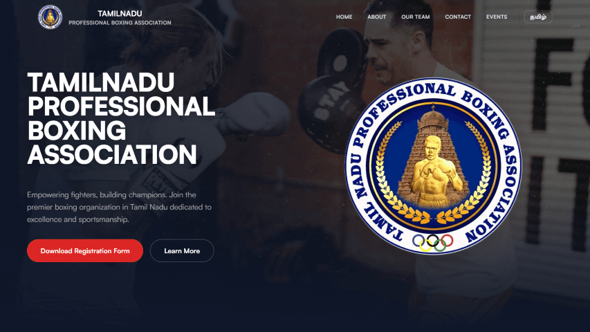 TN Pro Boxing project image